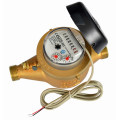 Nwm Multi Jet Vane Wheel Water Meter (MJ-LFC-Z)